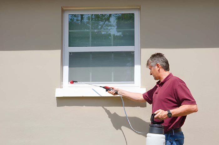 DIY-vs-professional-pest-control