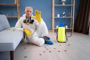 cockroaches in home dubai 