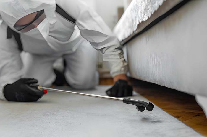 fogging for mosquito control