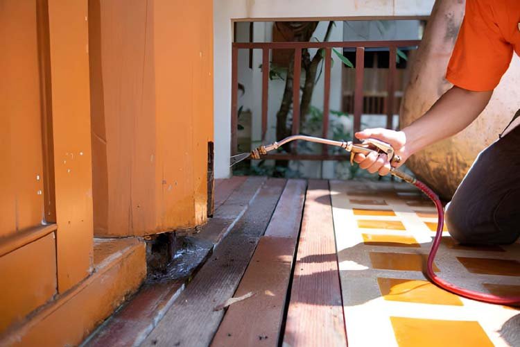 termite control chemicals that are not toxic to humans mixed with water in tank for spraying to eliminate termites